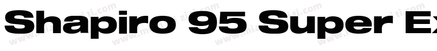 Shapiro 95 Super Extd字体转换